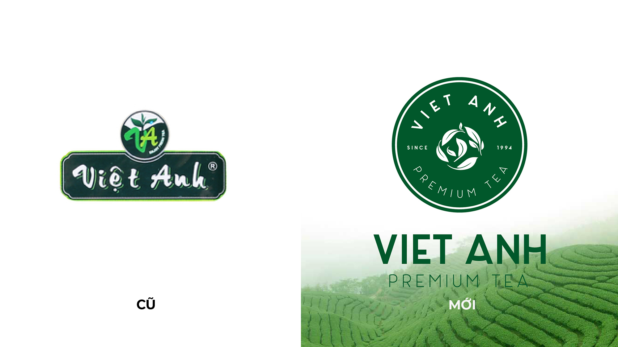 Logo Folio